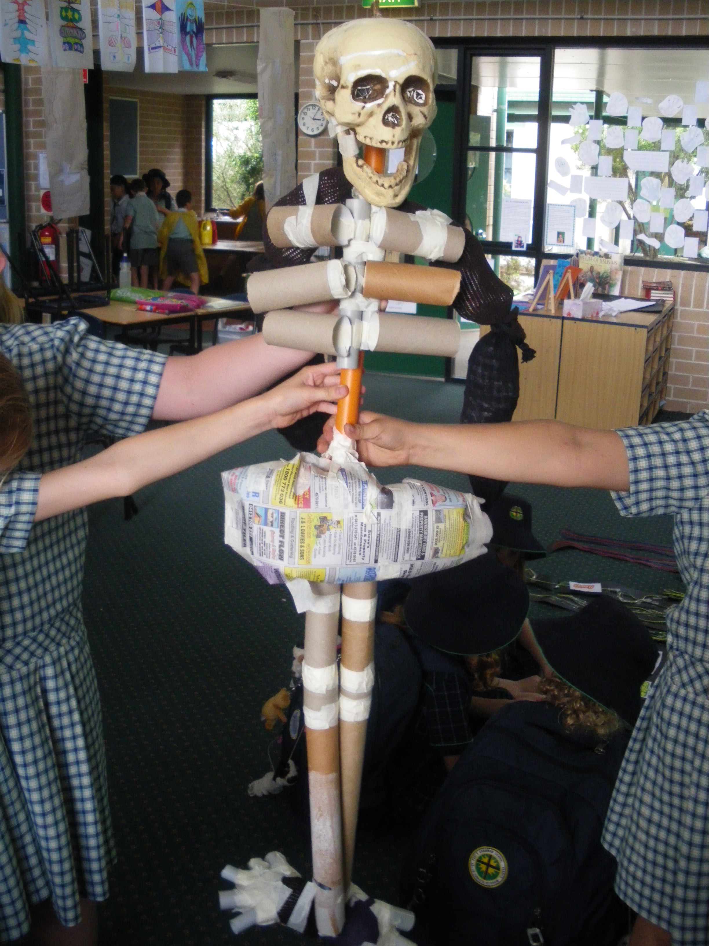 Our Body Systems Models